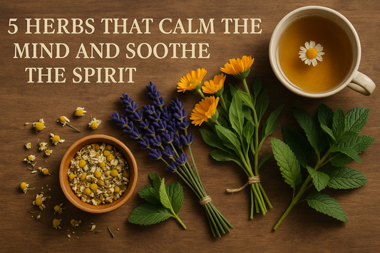 5 Herbs That Calm the Mind and Soothe the Spirit