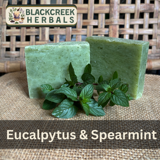 Eucalyptus & Spearmint Soap