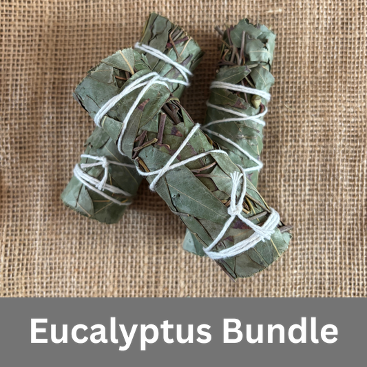 Eucalpytus Smudge Bundle (1pc)