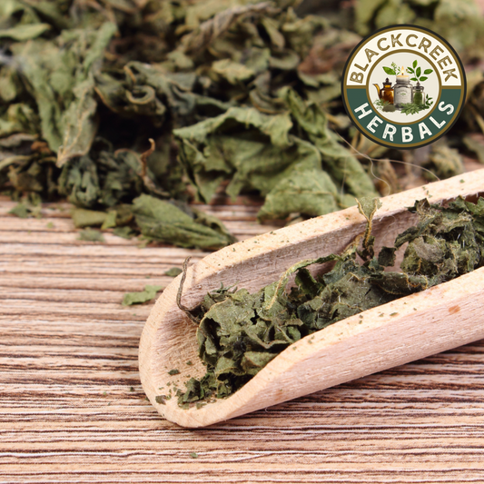 Nettle Leaf Herb 1oz Organic
