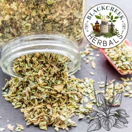 Plantain Leaf Sampler Pack (.25oz/7g)