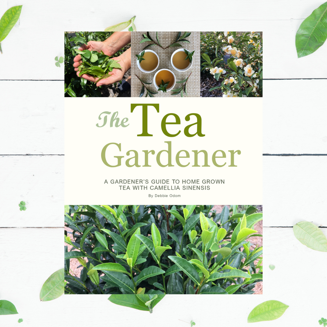 The Tea Gardener, The Gardener's Guide To Home Grown Tea